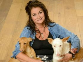 Wat is het vermogen van tekstschrijfster Belinda Meuldijk