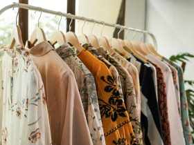 Fashion ondernemer Anna Meilink Wat is haar vermogen